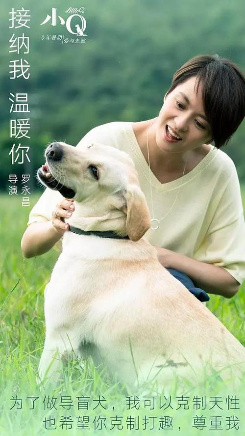 办理不来梅大学学信网